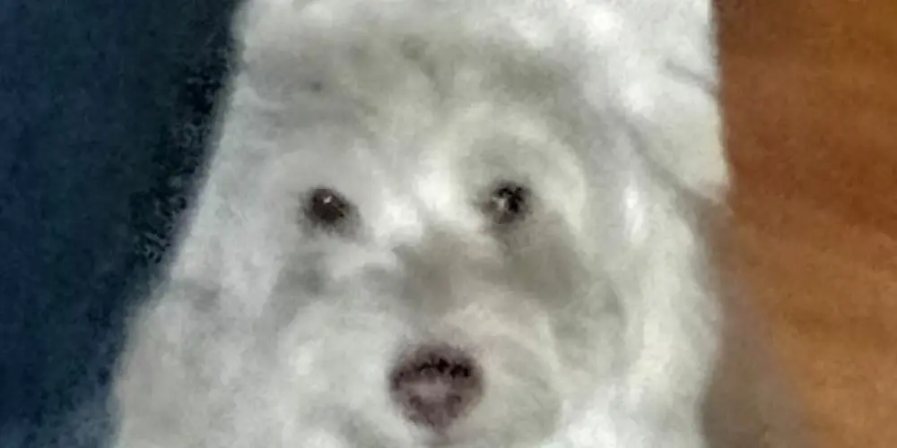 Imagem do grupo de WhatsApp Resenha (sem sair tropa)