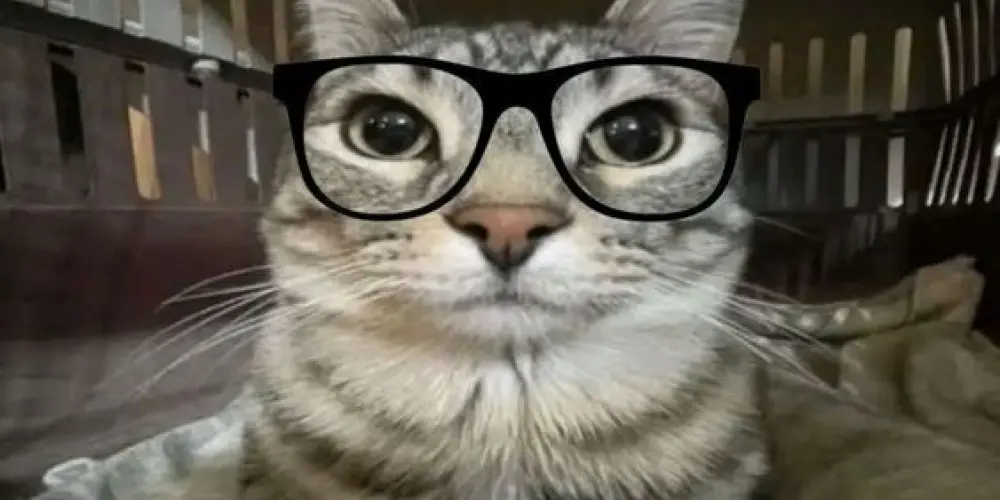 Imagem do grupo de WhatsApp Resenha (sem sair tropa)