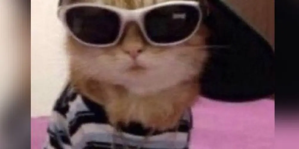 Imagem do grupo de WhatsApp Resenharia 🎭