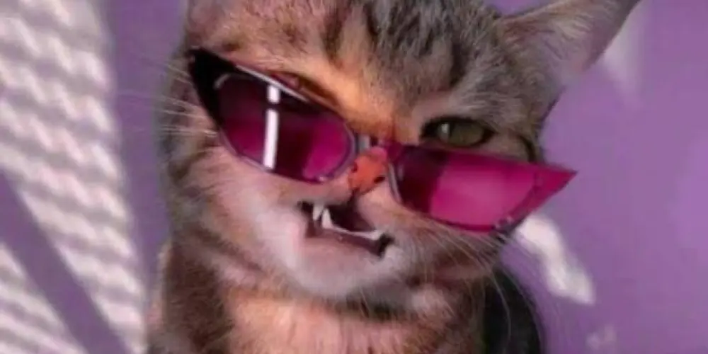 Imagem do grupo de WhatsApp Resenhas 😜