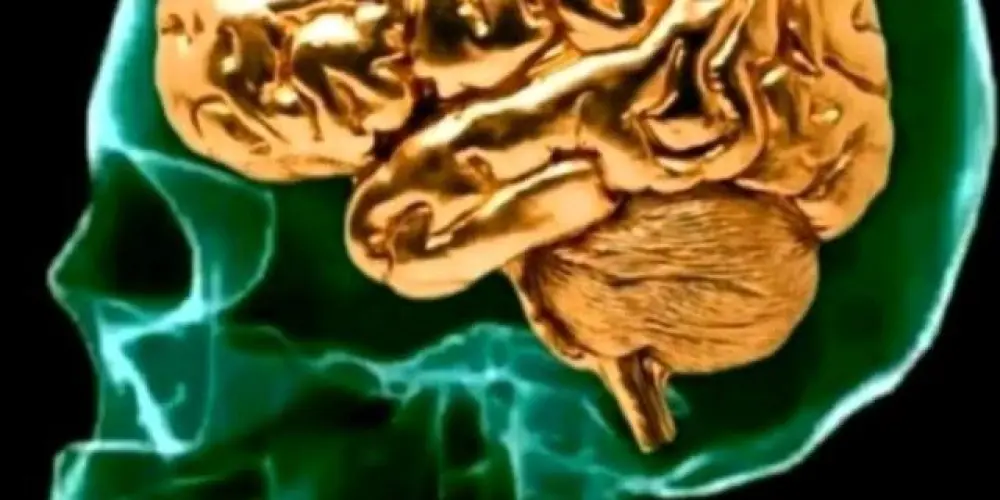 Imagem do grupo de WhatsApp Resenhas