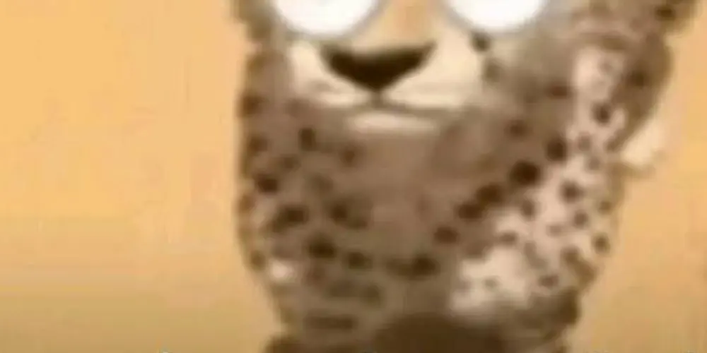 Imagem do grupo de WhatsApp Resenhax