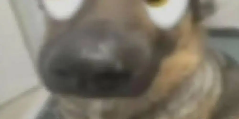 Imagem do grupo de WhatsApp Resenhudos (Região dos lagos)