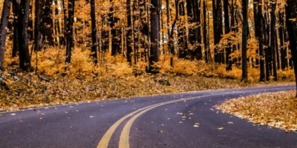 Imagem do grupo de WhatsApp ✨ RESOLVIDO 2018