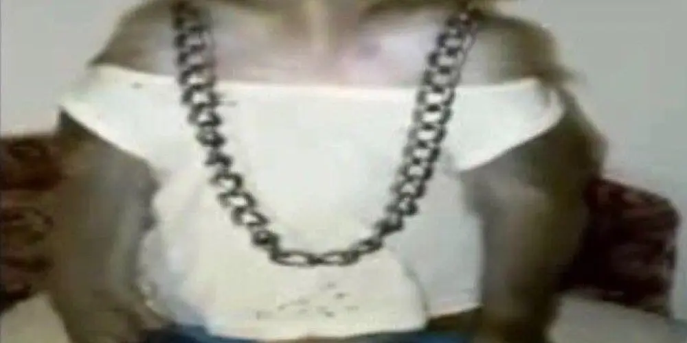 Imagem do grupo de WhatsApp Reunião dos loucos