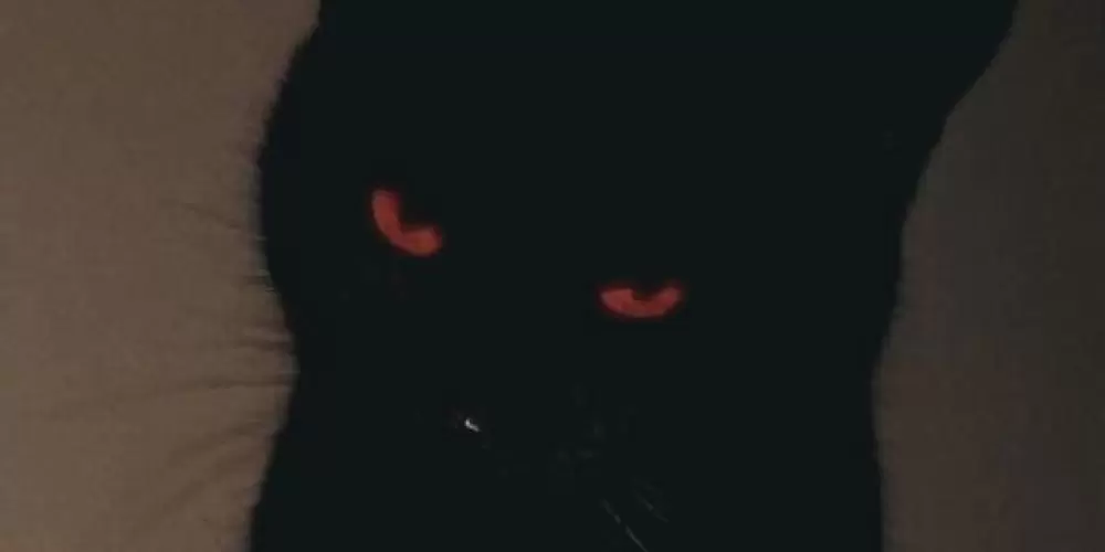 Imagem do grupo de WhatsApp ⭐️ reunidos ⭐️