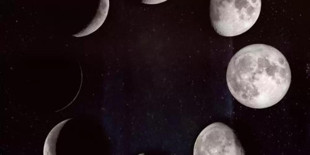 Imagem do grupo de WhatsApp Revoadas 😜😝