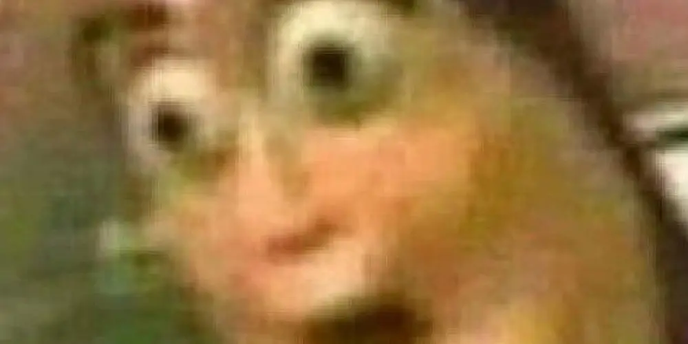 Imagem do grupo de WhatsApp Revoados