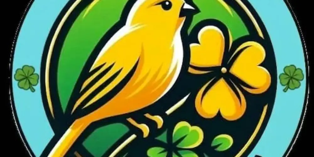 Imagem do grupo de WhatsApp (RIFA) CANARIO PORTE, COR E CANTO🕊️