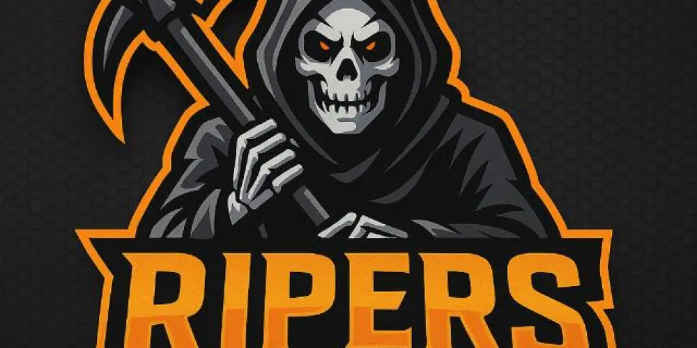 Imagem do grupo de WhatsApp RIPERS