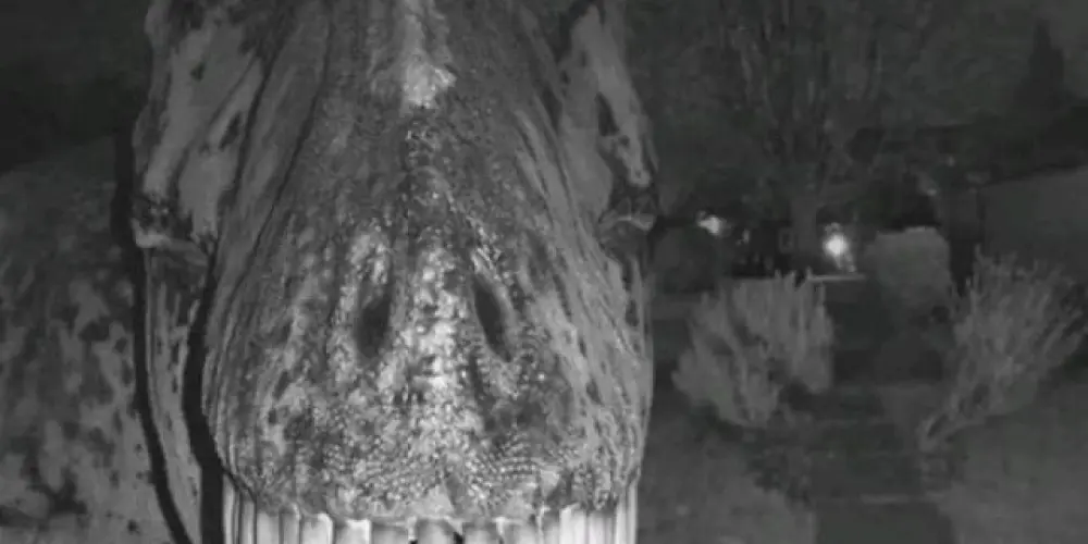 Imagem do grupo de WhatsApp Riskin rubisquen