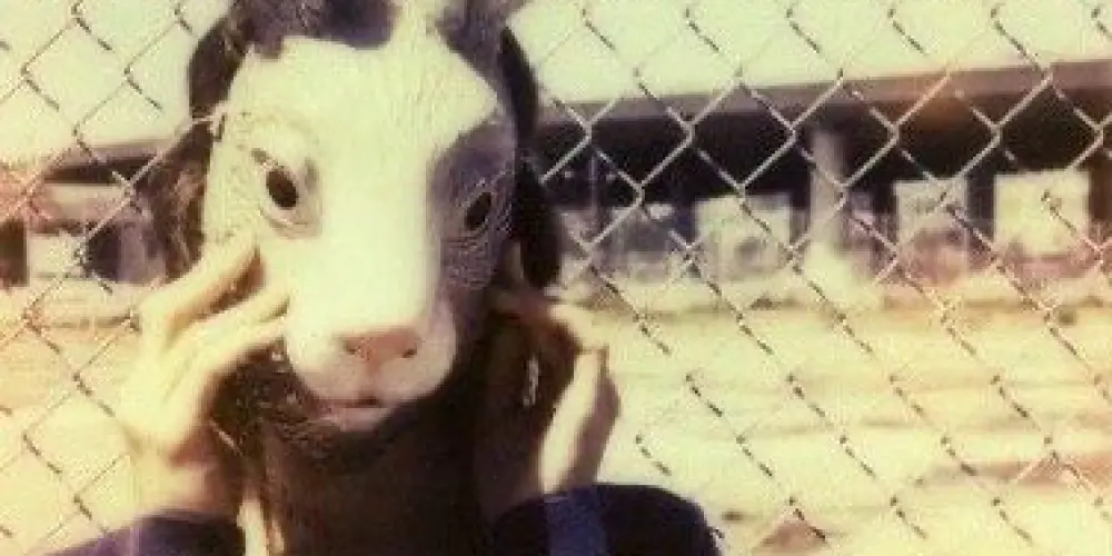 Imagem do grupo de WhatsApp Ritty #return