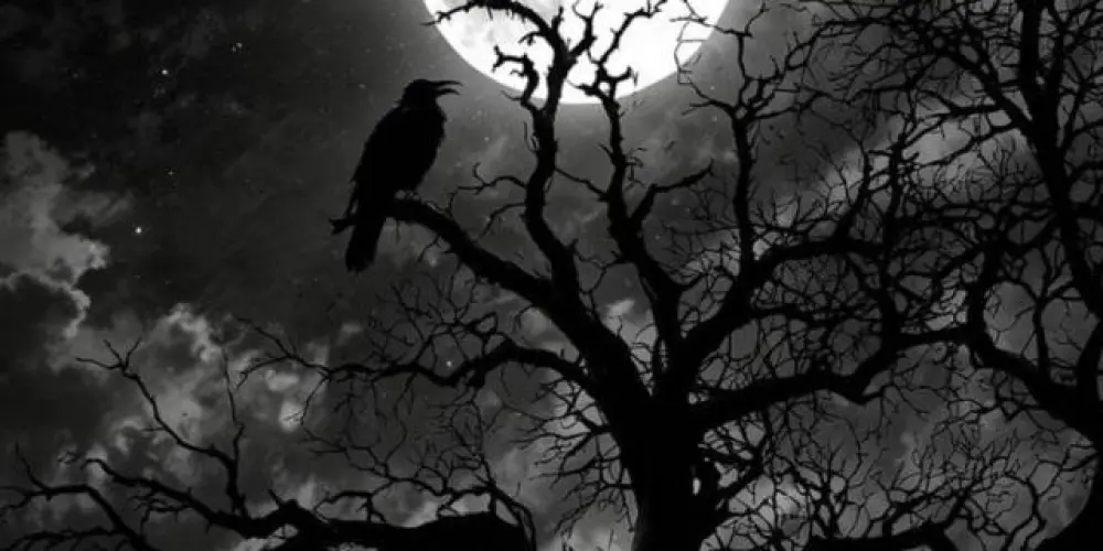 Imagem do grupo de WhatsApp ❦┊เrmandadeﾠdaﾠescuridao♛