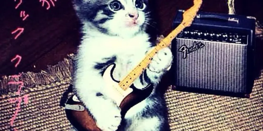 Imagem do grupo de WhatsApp Rock ‘N Roll