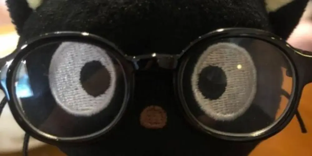 Imagem do grupo de WhatsApp Roda da conversa💥