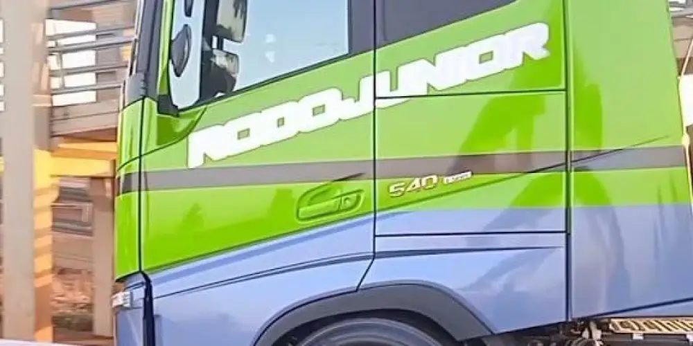 Imagem do grupo de WhatsApp RODO JUNIOR🚛🍃