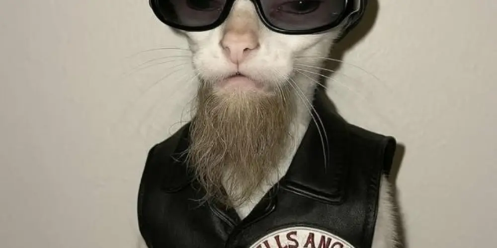 Imagem do grupo de WhatsApp Roguem rou🤘🏻🩸