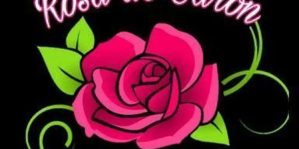 Imagem do grupo de WhatsApp ROSA DE SARON 🌺