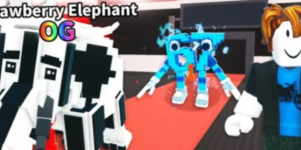 Imagem do grupo de WhatsApp Roube um braint