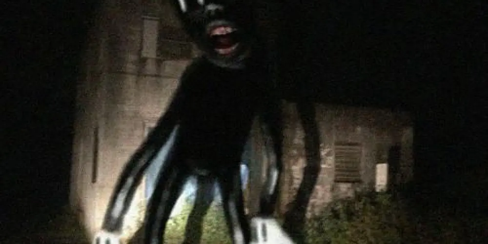 Imagem do grupo de WhatsApp RP - criaturas Trevor