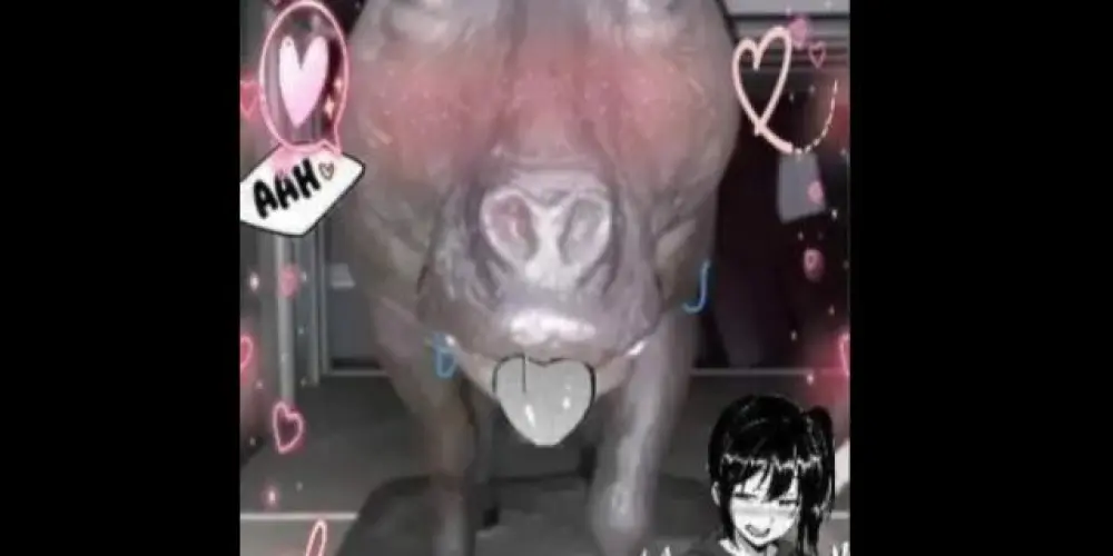 Imagem do grupo de WhatsApp RP DO MUNDO