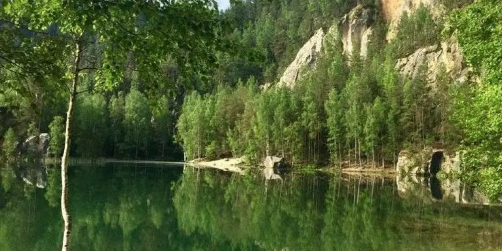 Imagem do grupo de WhatsApp Rpg Thundras