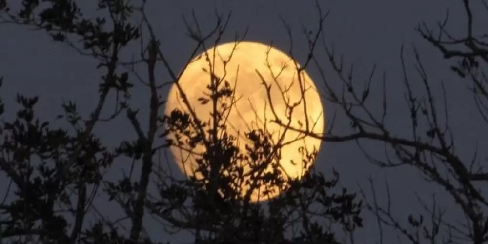 Imagem do grupo de WhatsApp RPGs TEXTUAL