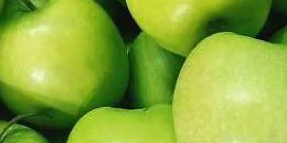 Imagem do grupo de WhatsApp ⌒໋ ִ 🍏𝆺𝅥┆Rᥱ𝖼ᥱթçα̃𑄜