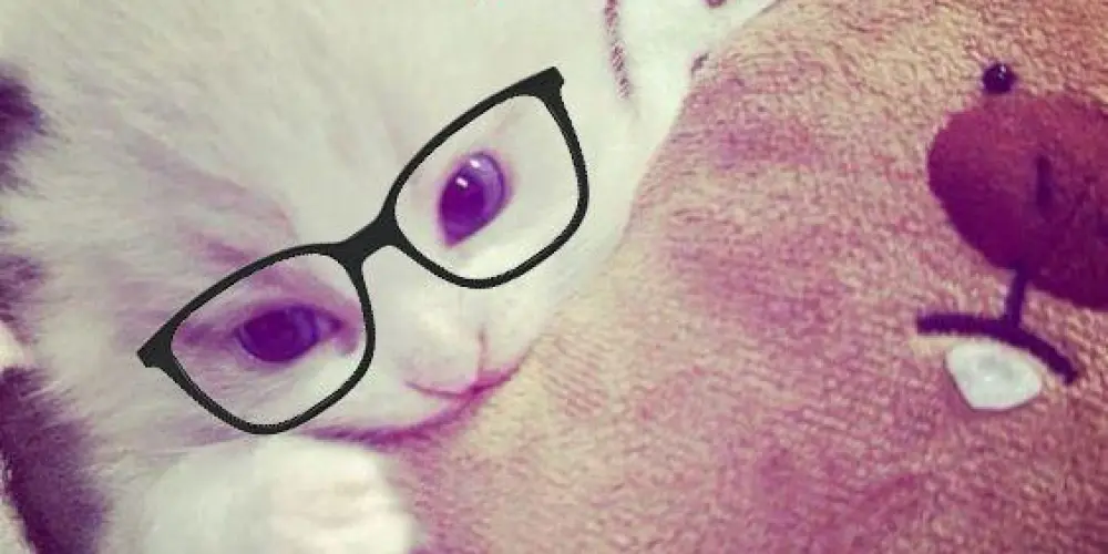 Imagem do grupo de WhatsApp ᴍᴏᴇᴅᴀs ᴄʜᴀᴛ ☯︎