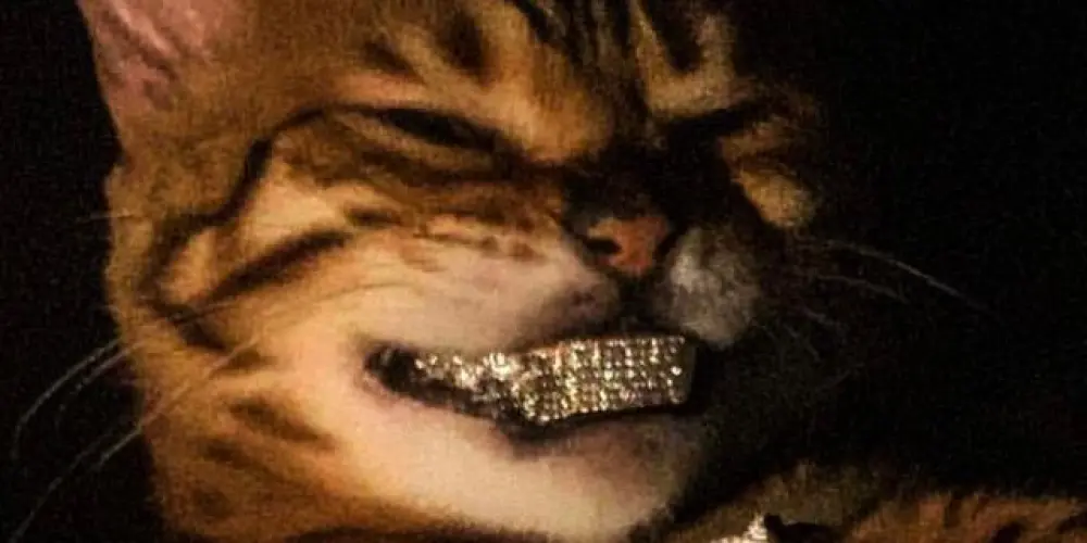 Imagem do grupo de WhatsApp ִ ࣪𓋹⃟ sᴡᴀɢ ɴᴀᴛɪᴏɴ⋆.ೃ࿔⛈