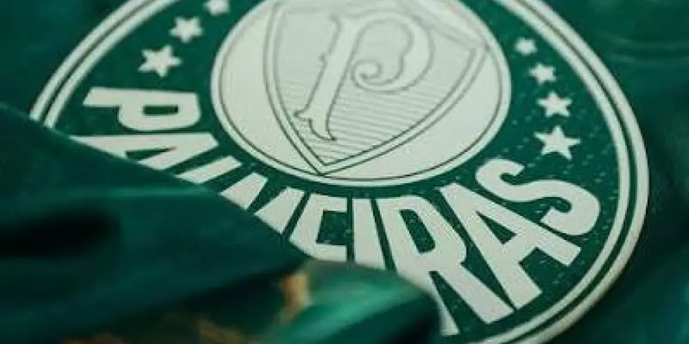 Imagem do grupo de WhatsApp S E PALMEIRAS 2026💚💚💚