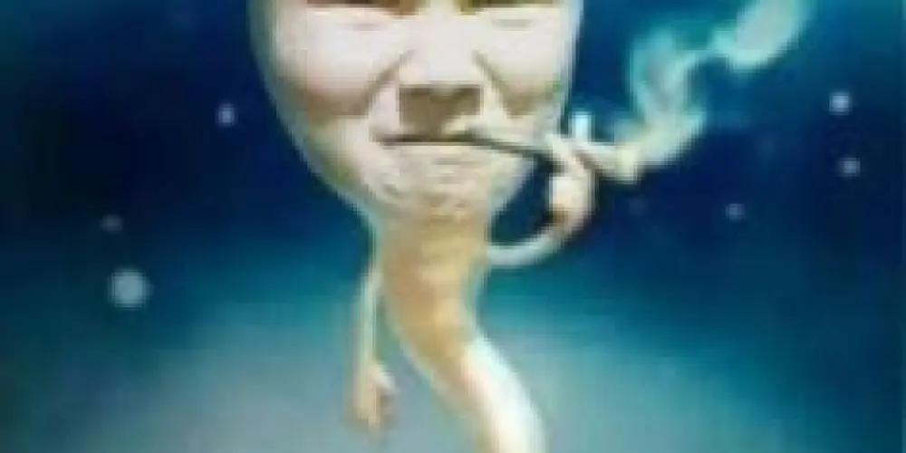 Imagem do grupo de WhatsApp 𝕺s 𝕻orras.🍼