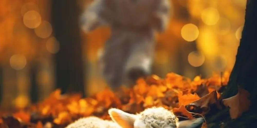 Imagem do grupo de WhatsApp ᴊᴏᴠᴇɴs ᴄʀɪsᴛᴀ̃ᴏ❤‍🩹☦️