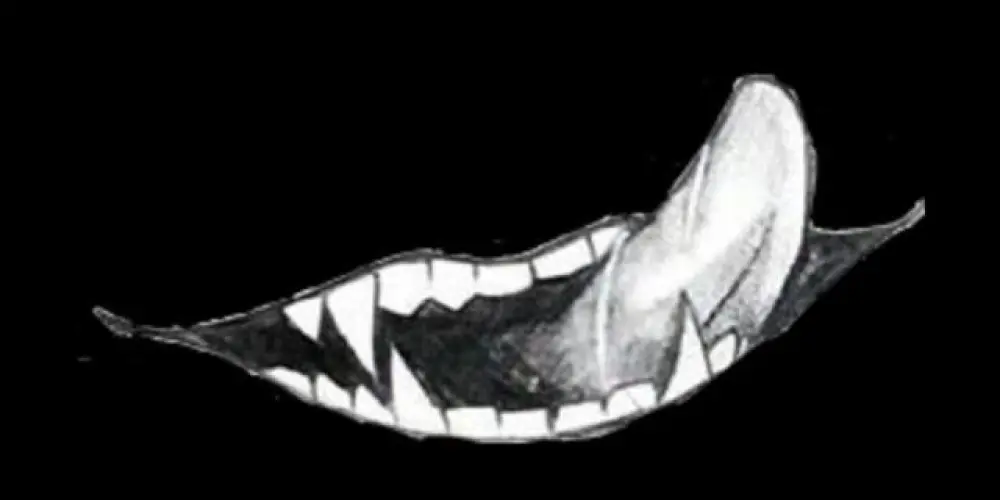 Imagem do grupo de WhatsApp ᴅɪᴠᴇʀsᴀᴏ ɴᴏ sɪɢɪʟᴏ ूाीूूाीू