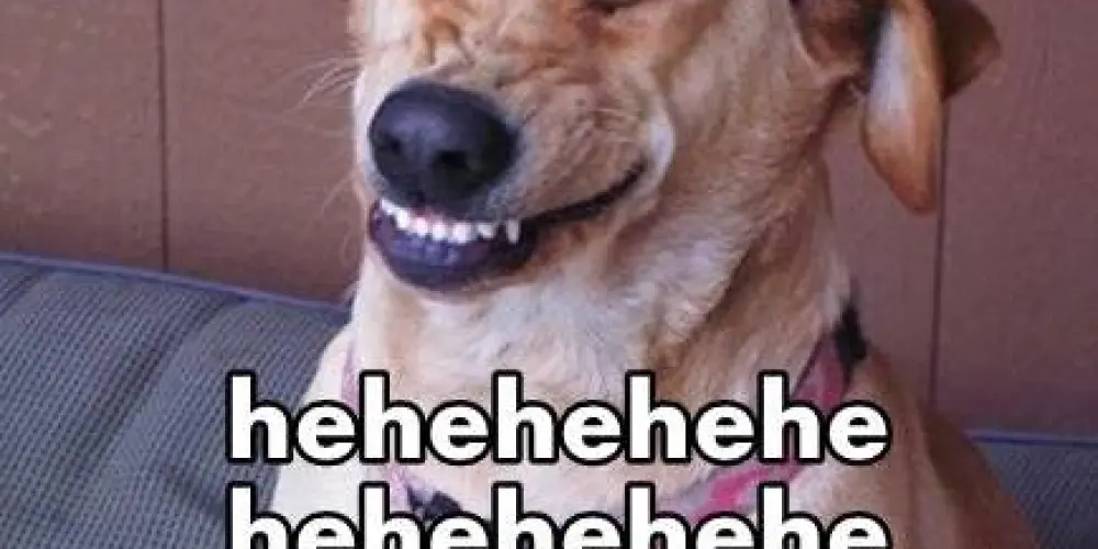 Imagem do grupo de WhatsApp Sᕮᗰ SIᘉᗩᒪ⚠️