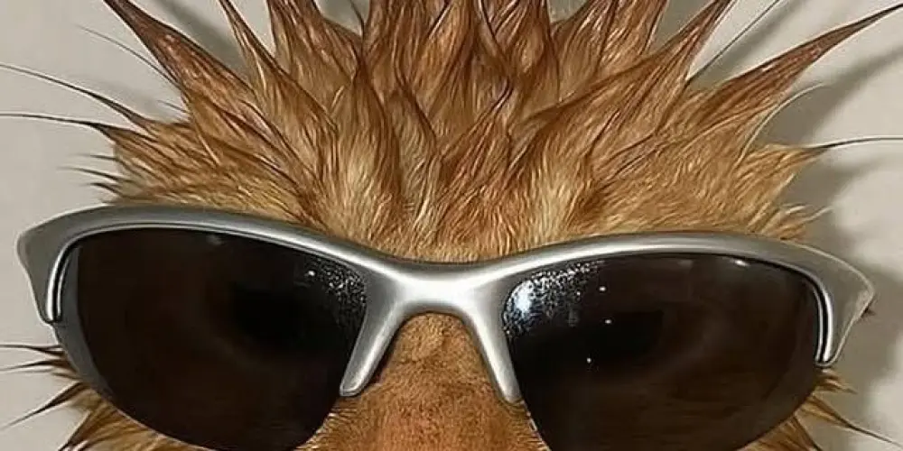 Imagem do grupo de WhatsApp 🤯S U R T O💥C O L E T I V O🤯