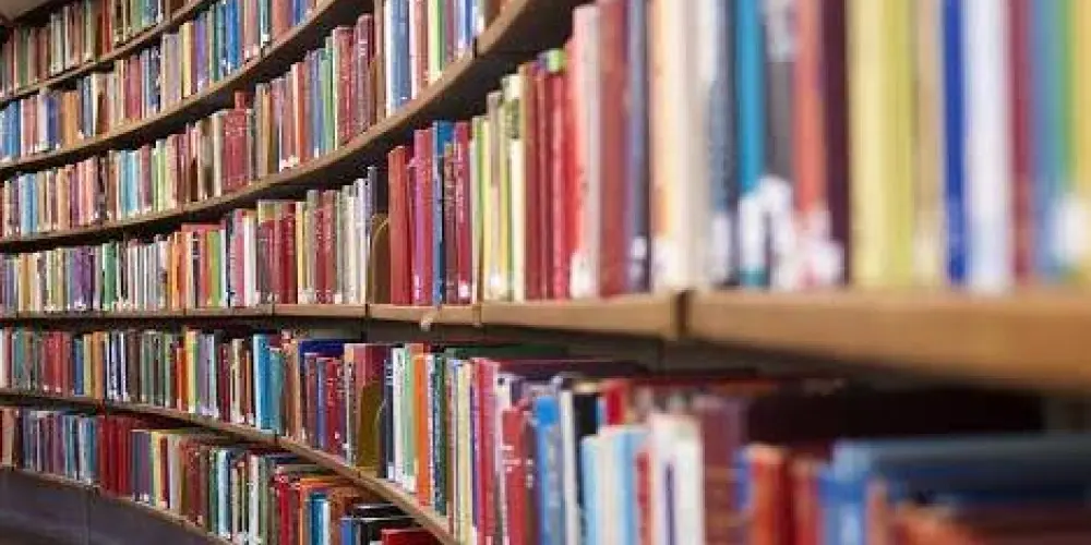 Imagem do grupo de WhatsApp SABEDORIA 💡