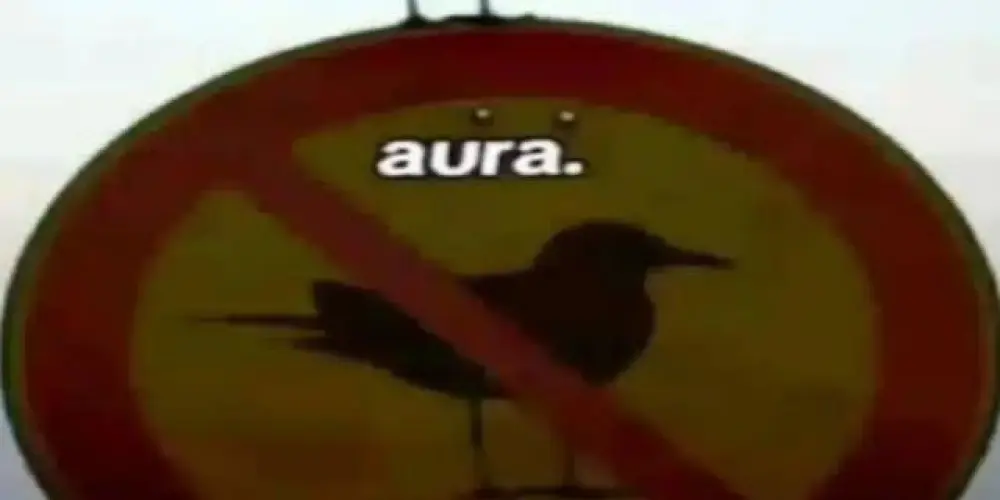 Imagem do grupo de WhatsApp SABOR AURA