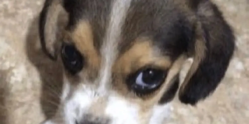 Imagem do grupo de WhatsApp Sabor caos