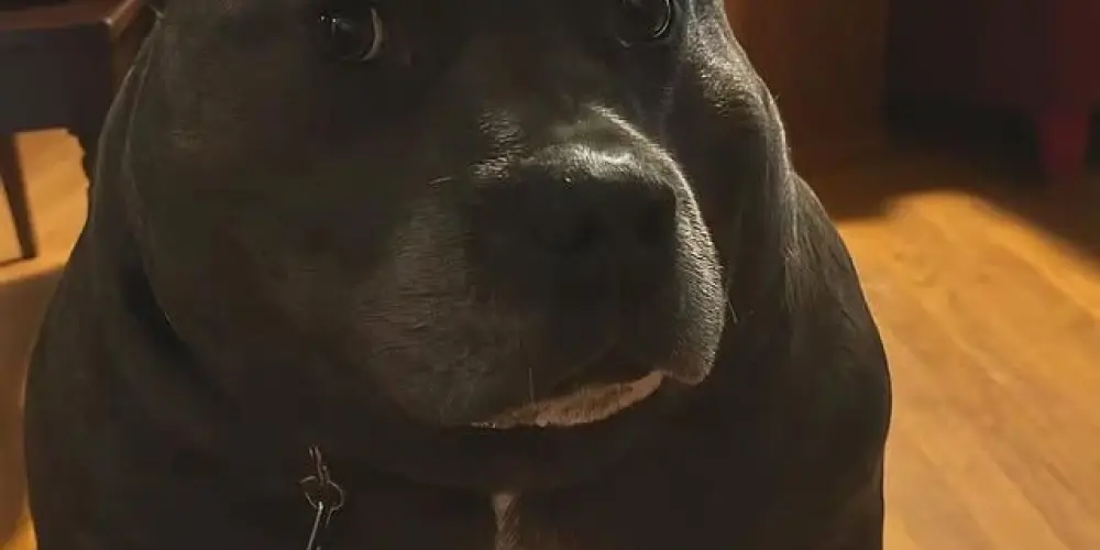 Imagem do grupo de WhatsApp Sabor grupo 😂✌️