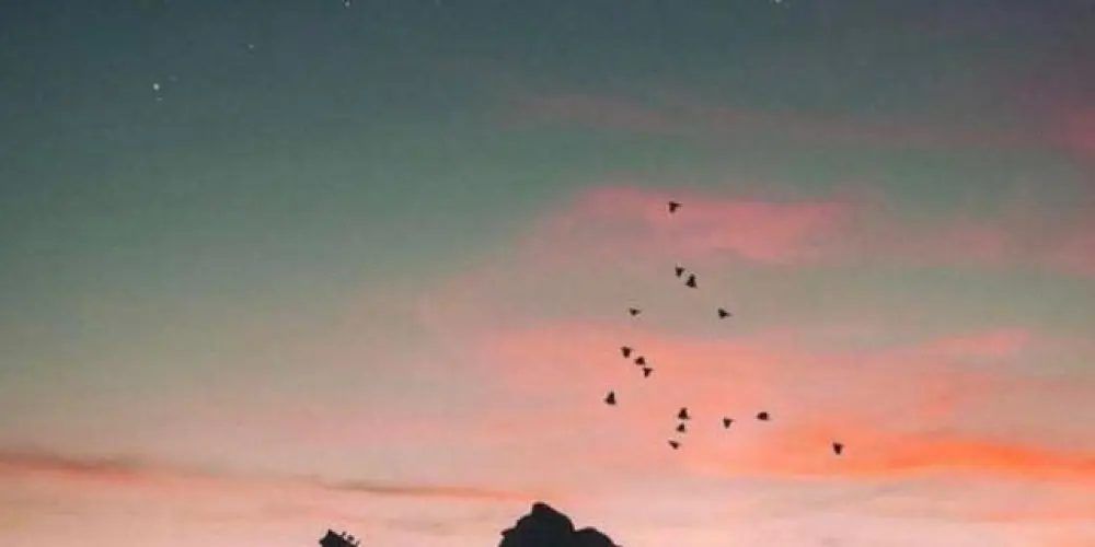 Imagem do grupo de WhatsApp Sadstation🎸🎶