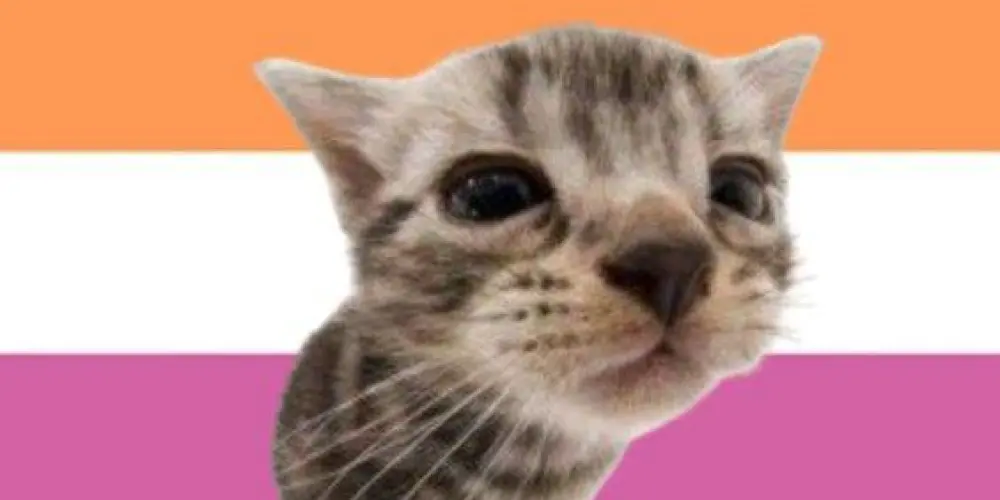 Imagem do grupo de WhatsApp Sáfica club🏳️‍🌈🏳️‍⚧️