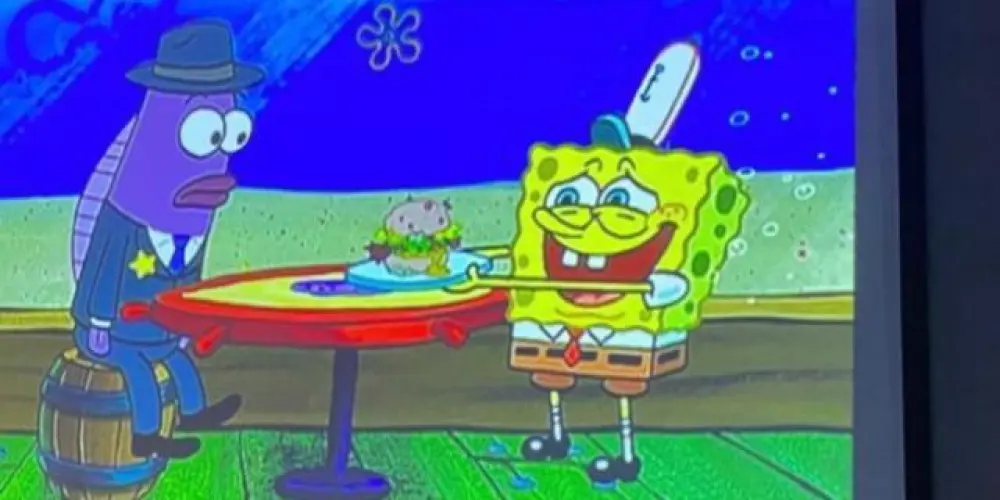 Imagem do grupo de WhatsApp SAFIRA