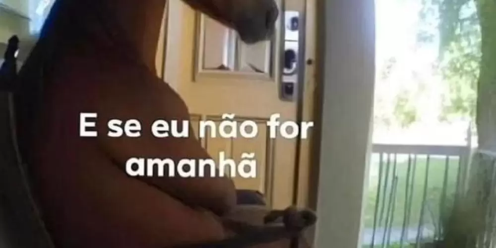 Imagem do grupo de WhatsApp Sai de baixo