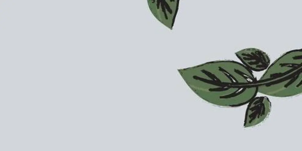 Imagem do grupo de WhatsApp SALA DE AMIZADE