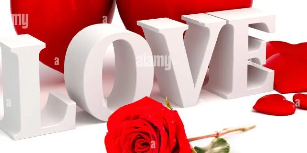 Imagem do grupo de WhatsApp Sala de triagem Cantinho do amor