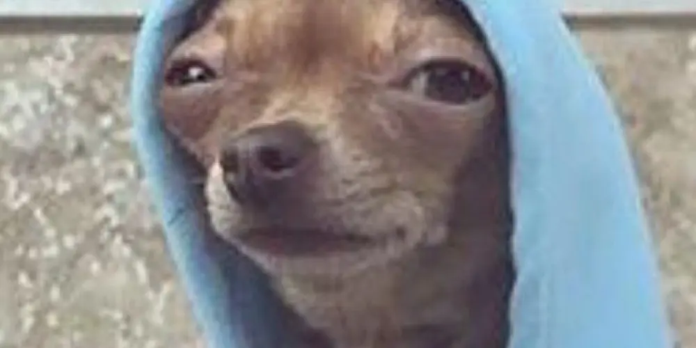 Imagem do grupo de WhatsApp Salinhas dos Aposented