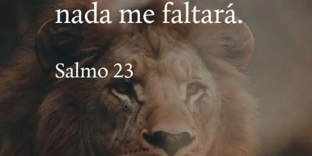 Imagem do grupo de WhatsApp Salmos 91