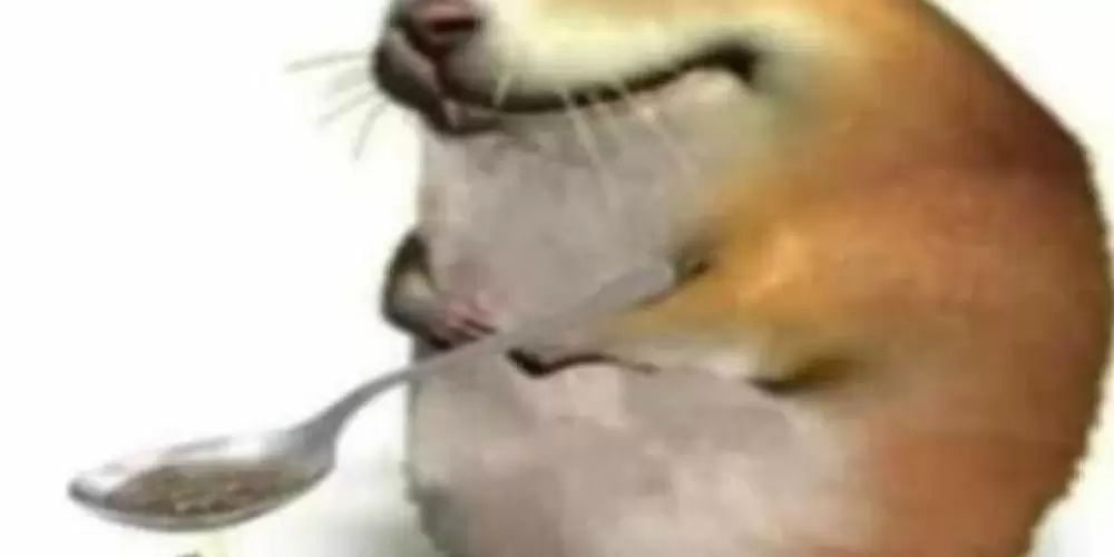 Imagem do grupo de WhatsApp Salobete Niquido✌🏿