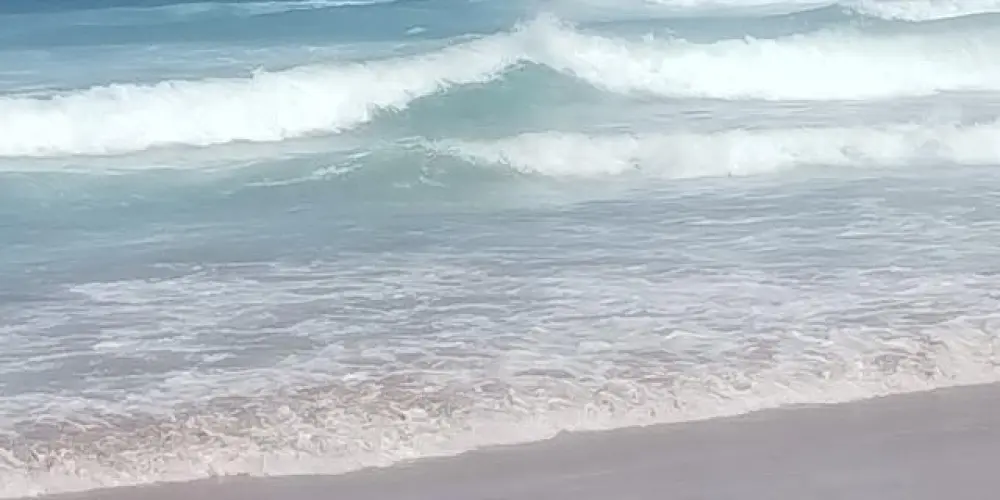 Imagem do grupo de WhatsApp 🥵 Salvador ba 😈